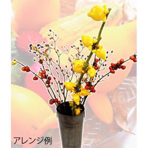 種 花たね ソラナム とげなしつのなす 1袋(6粒)の詳細画像2