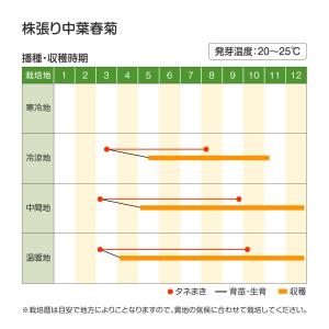 国華園 種 野菜たね 春菊 株張り中葉春菊 1...の詳細画像2