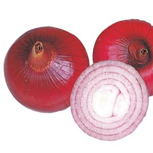 国華園 種 野菜たね タマネギ (中生)中生赤...の詳細画像1