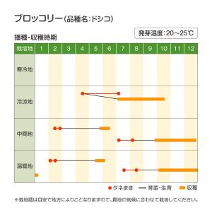 種 野菜たね ブロッコリー (ドシコ) 1袋(...の詳細画像2