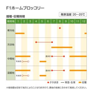 国華園 種 野菜たね ブロッコリー F1ホーム...の詳細画像2