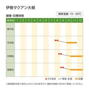 国華園 種 野菜たね ダイコン 伊勢タクアン大...の詳細画像2