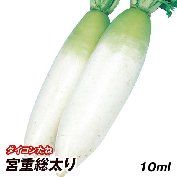 種 野菜たね ダイコン 宮重総太り 1袋（10ml） みやしげ 大根 野菜の種 国華園