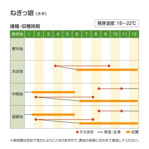 国華園 種 野菜たね ネギ ねぎっ娘 1袋(5...の詳細画像3