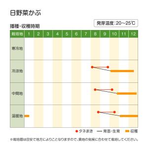 国華園 種 野菜たね カブ 日野菜かぶ 1袋(...の詳細画像1