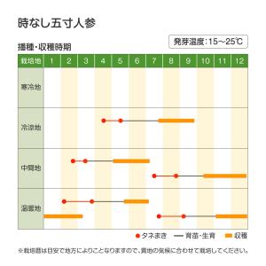国華園 種 野菜たね ニンジン 時なし五寸人参...の詳細画像3
