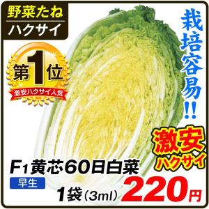 白菜 ハクサイ タネ F1黄芯60日白菜 1袋(3ml) 種 野菜たね