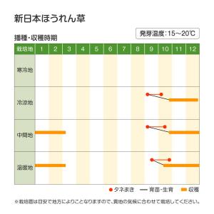 国華園 種 野菜たね ホウレン草 新日本ほうれ...の詳細画像2