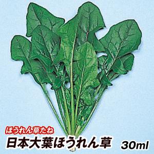 花と緑 国華園 ホウレンソウ 野菜たね Yahoo ショッピング