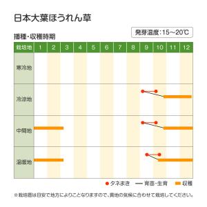 国華園 種 野菜たね ホウレン草 日本大葉ほう...の詳細画像2