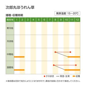 国華園 種 野菜たね ホウレン草 次郎丸ほうれ...の詳細画像2