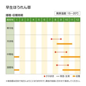 国華園 種 野菜たね ホウレン草 早生ほうれん...の詳細画像2