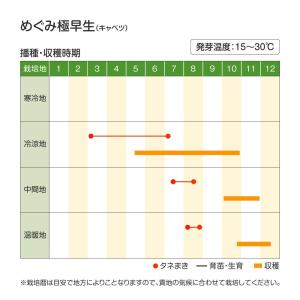 国華園 種 野菜たね キャベツ めぐみ極早生 ...の詳細画像3