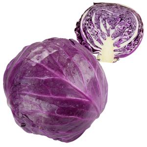 国華園 種 野菜たね キャベツ F1レッドボー...の詳細画像1