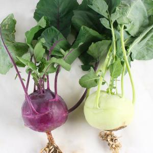 国華園 種 野菜たね キャベツ 紫コールラビー...の詳細画像3