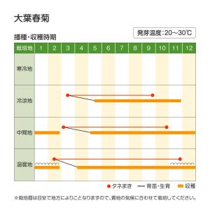 国華園 種 野菜たね 春菊 大葉春菊 1袋(2...の詳細画像2