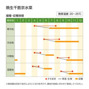 国華園 種 野菜たね 水菜 晩生千筋京水菜 1...の詳細画像1