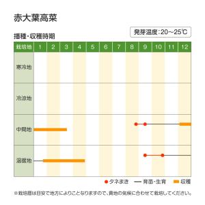 国華園 種 野菜たね 菜類 赤大葉高菜 1袋(...の詳細画像1
