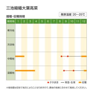 国華園 種 野菜たね 菜類 三池縮緬大葉高菜 ...の詳細画像1