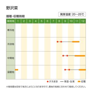 国華園 種 野菜たね 菜類 野沢菜 1袋(8m...の詳細画像3