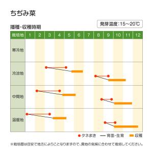 国華園 種 野菜たね 菜類 ちぢみ菜 1袋(5...の詳細画像1