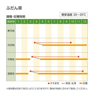 国華園 種 野菜たね 菜類 ふだん草 1袋(1...の詳細画像1
