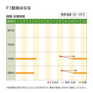 国華園 種 野菜たね 菜類 F1耐病はなな 1...の詳細画像1