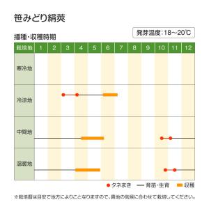 国華園 種 野菜たね マメ キヌサヤ 笹みどり...の詳細画像2
