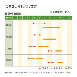 国華園 種 野菜たね マメ インゲン つるなし...の詳細画像3