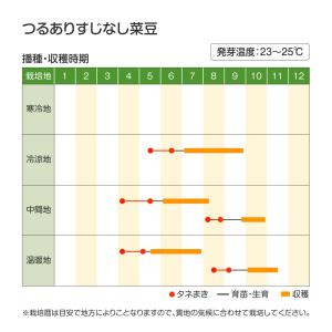 国華園 種 野菜たね マメ インゲン つるあり...の詳細画像2
