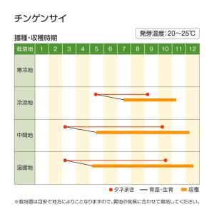 国華園 種 野菜たね 中国野菜 チンゲンサイ ...の詳細画像2