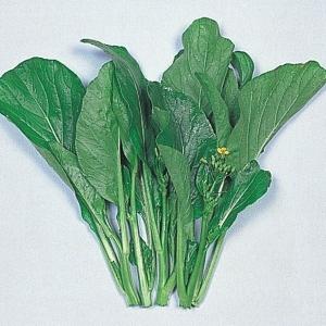 サイシン 中国野菜の商品一覧 通販 Yahoo ショッピング