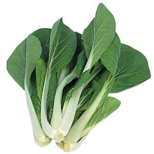 国華園 種 野菜たね 中国野菜 パクチョイ （白軸チンゲンサイ） 1袋（5ml） 青梗菜 やさいの種