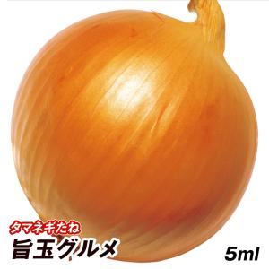 玉ねぎ 種 野菜たね タマネギ （超極早生）新春玉葱EX 1袋（3ml） 玉葱