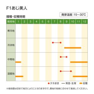 国華園 種 野菜たね ダイコン F1あじ美人 ...の詳細画像3