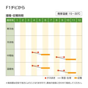国華園 種 野菜たね ミニダイコン F1チビか...の詳細画像2