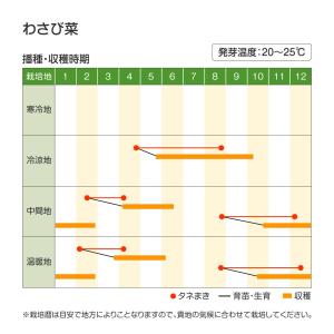 国華園 種 野菜たね 菜類 わさび菜 1袋(4...の詳細画像2