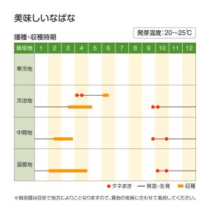 国華園 種 野菜たね 菜類 美味しいなばな 1...の詳細画像1
