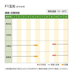 国華園 種 野菜たね タマネギ (晩生)F1玉...の詳細画像2
