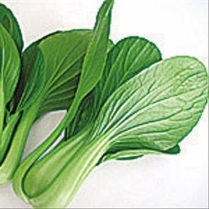 国華園 種 野菜たね 中国野菜 晩抽チンゲンサイ 1袋（8ml） 青梗菜 やさいの種