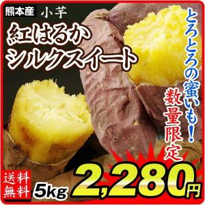 さつまいも 熊本産 紅はるか 又は シルクスイート 小芋 5kg  訳あり ご家庭用 甘藷 サツマイモ 野菜 数量限定 国華園