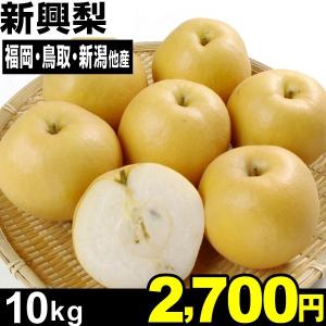 梨 大特価　ご家庭用　新興梨　１０kg １組 国華園