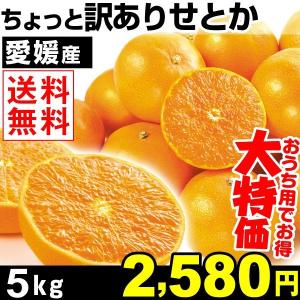 みかん 愛媛産 ちょっと訳あり せとか 5kg 1箱 送料無料 国華園