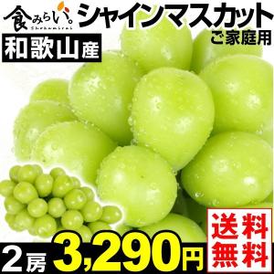 ぶどう　ご家庭用 和歌山産 シャインマスカット 2房 1箱　約1.2kg 送料無料 国華園