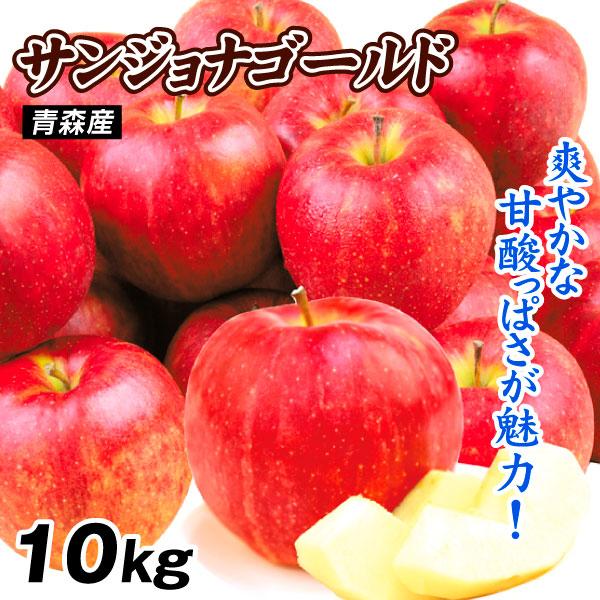 りんご 10kg サンジョナゴールド 青森産 送料無料 食品【11月上旬より順次出荷予定】
