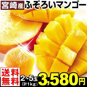 マンゴー 【超買得】宮崎産 ふぞろいアップルマンゴー 1kg...