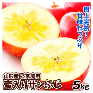 りんご 5kg 蜜入りサンふじ ご家庭用 山形産 林檎 果物 送料無料 食品