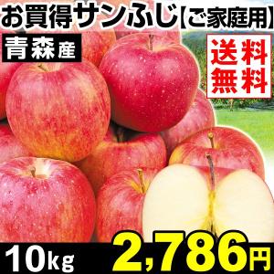 リンゴ　青森産 お買得 サンふじ 【ご家庭用】 10kg1箱　送料無料 特別版 国華園