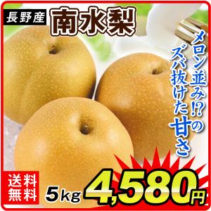梨 長野産 南水梨（5kg）8〜18玉 ご家庭用 なんすい 希少品種 なし 和梨 果物 フルーツ 国華園
