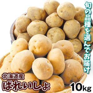 新じゃがいも 鹿児島産 大玉新ばれいしょ 10kg1箱 送料...